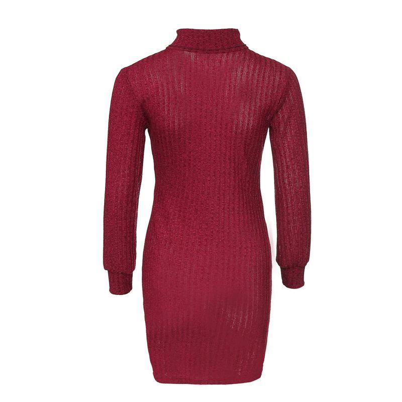 NLAND Robe Pull Femme Hiver Col Roulé Manches Longues Tricotée Chaud Élégante Robe Casual Longueur Genou